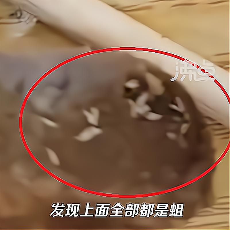 admin 第14页