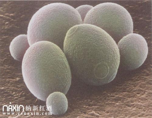 新闻中心 第22页